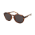 Alpina Napszemüveg Alpina Sneek 2.0 Havana Matt/Black
