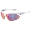 Alpina Sports Alpina NYLOS HR white-purple