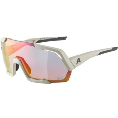Alpina Sports Alpina Rocket QV cool-grey matt (4003692314499)