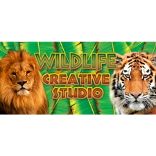 Alternative Software Ltd. Wildlife Creative Studio (PC - Steam elektronikus játék licensz) videójáték