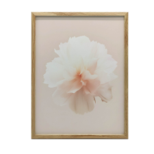 ALUMÍNIUM KERETES FALI PLAKÁT PASTELLVIRÁG 30x40 CM grafika, keretezett kép