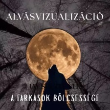  Alvásvizualizáció egyéb e-könyv