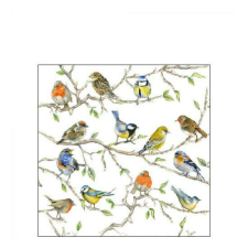 AMB.12514975 Birds Meeting papírszalvéta 25x25cm, 20db-os papírárú, csomagoló és tárolóeszköz