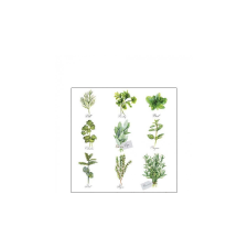 AMB.12518560 Herb selection papírszalvéta 25x25cm, 20db-os papírárú, csomagoló és tárolóeszköz