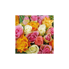  AMB.13308370 Colourful Roses papírszalvéta 33x33cm,20db-os asztalterítő és szalvéta