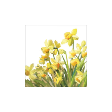  AMB.13316195 Golden Daffodils papírszalvéta 33x33cm, 20db-os asztalterítő és szalvéta