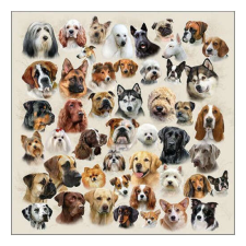  AMB.13317675 Collection of Dogs papírszalvéta 33x33cm, 20db-os papírárú, csomagoló és tárolóeszköz