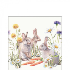 AMB.22518250 Carrot treat papírszalvéta 25x25cm, 20db-os papírárú, csomagoló és tárolóeszköz