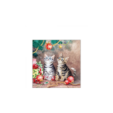 AMB.32515590 Magic of Christmas papírszalvéta 25x25cm, 20db-os asztalterítő és szalvéta