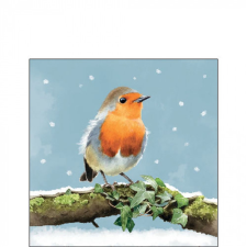  AMB.32519180 Robin on branch papírszalvéta 25x25cm, 20db-os papírárú, csomagoló és tárolóeszköz
