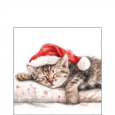  AMB.32520080 Dreaming about X-Mas papírszalvéta 25x25cm, 20db-os papírárú, csomagoló és tárolóeszköz