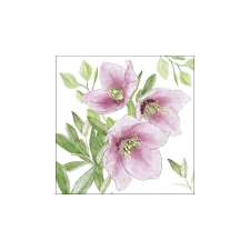 AMB.33318015 Classic helleborus papírszalvéta 33x33cm, 20db-os higiéniai papíráru