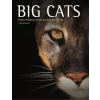 Amber Books Big Cats | Tom Jackson