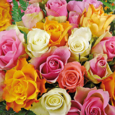 AMBIENTE AMB.13308370 Colourful Roses papírszalvéta 33x33cm,20db-os asztalterítő és szalvéta