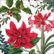 AMBIENTE Christmas plants white papírszalvéta 33x33cm, 20db-os papírárú, csomagoló és tárolóeszköz