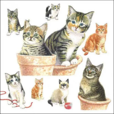 AMBIENTE Cute kittens papírszalvéta 33x33cm, 20db-os konyhai eszköz