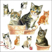 Ambiente Cute kittens papírszalvéta 33x33cm, 20db-os papírárú, csomagoló és tárolóeszköz