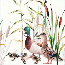 AMBIENTE Ducks Couple papírszalvéta 33x33cm, 20db-os papírárú, csomagoló és tárolóeszköz