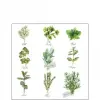 AMBIENTE Herb selection papírszalvéta 25x25cm, 20db-os