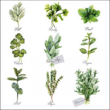 Ambiente Herb selection papírszalvéta 33x33cm, 20db-os papírárú, csomagoló és tárolóeszköz