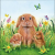 AMBIENTE Rabbit Family papírszalvéta 33x33cm, 20db-os