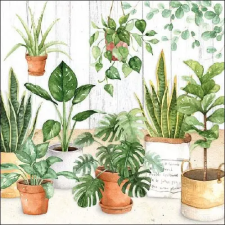 AMBIENTE Urban Jungle papírszalvéta 33x33cm,20db-os konyhai eszköz