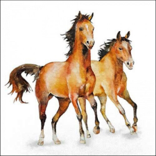 Ambiente Wild horses papírszalvéta 33x33cm, 20db-os papírárú, csomagoló és tárolóeszköz