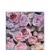 AMBIENTE Winter Roses papírszalvéta 25x25cm, 20db-os