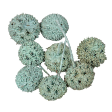  Ámbrafa termés aqua 14dkg/csom dekorációs kellék