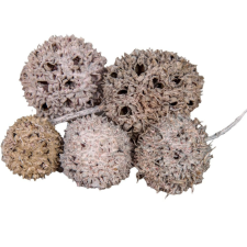  Ámbrafa termés rózsaszín 14dkg/csom dekorációs kellék