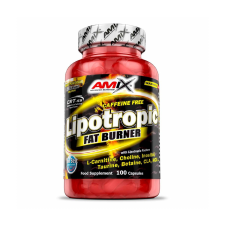 Amix Nutrition Amix Lipotropic Fat Burner 100db kapszula vitamin és táplálékkiegészítő