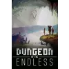 Amplitude Studios Dungeon of the Endless (Definitive Edition) (digitális licenc)