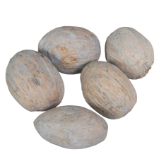  Amra dió szárított szürke 28dkg/csom dekorációs kellék