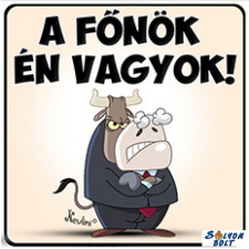 AN-PE 32 Kft Hűtőmágnes, A főnök én vagyok hűtőmágnes