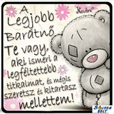 AN-PE 32 Kft Hűtőmágnes, A legjobb barátnő te vagy hűtőmágnes