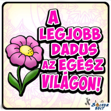 AN-PE 32 Kft Hűtőmágnes, A legjobb dadus hűtőmágnes