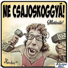 AN-PE 32 Kft Vicces hűtőmágnes, Ne csajoskoggyá hűtőmágnes