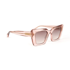 Ana Hickmann Sunglasses AH9372 T01 50