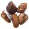 Ancient Megkövesedett Fa Ásvány Marokkő