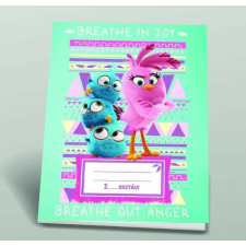 Angry Birds girls 2. osztályos vonalas füzet, A5/16-32 füzet