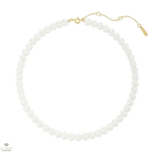 ANIA HAIE aranyozott ezüst nyaklánc 45,5 cm - N075-03G nyaklánc