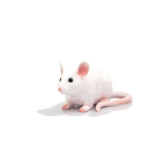 Animal Planet Egér figura, kétféle játékfigura