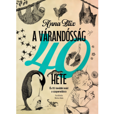 Anna Blix - A várandósság 40 hete egyéb könyv