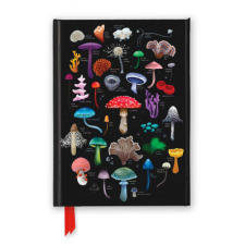  Anna Stead: Mushroom & Fungi Herbal (Foiled Journal) (Kniha) idegen nyelvű könyv