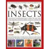 Anness Publishing Illustrated World Encyclopaedia of Insects | Martin Walters