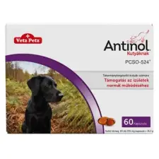  Antinol kapszula kutyáknak 60x vitamin, táplálékkiegészítő kutyáknak