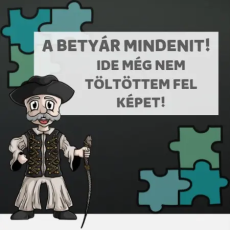  Anyának mindig igaza van - Női Póló