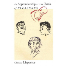 Apprenticeship or The Book of Pleasures – Sheila Heti,Stefan Tobler idegen nyelvű könyv