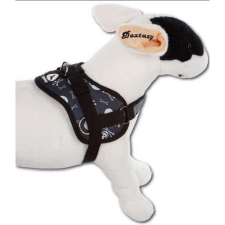  Aqua Coolkeeper Hám XS (46-63cm) nyakörv, póráz, hám kutyáknak