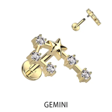  Arany Színű 316L Orvosi Acél Labret Piercing Ikrek Csillagjegy egyéb ékszer